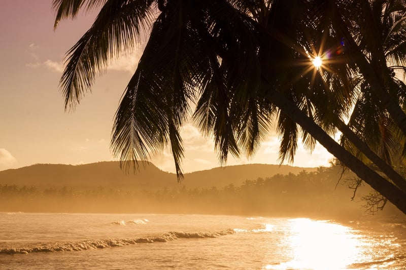 Tropical Island Getaway