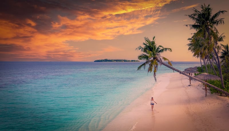 Tropical Island Paradise